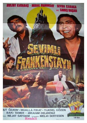 Sevimli Frankenstayn (1975)