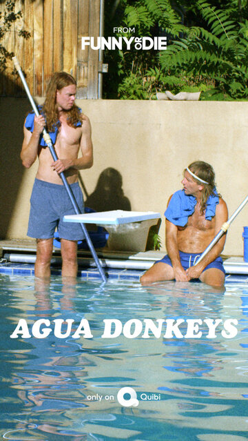 Agua Donkeys (2020)